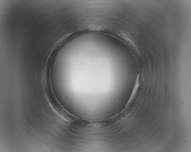 X0000073950492200609111654