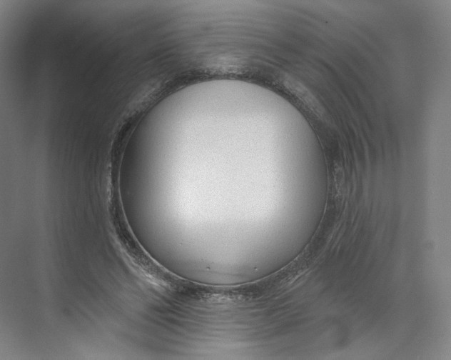 X0000073950494200609111654