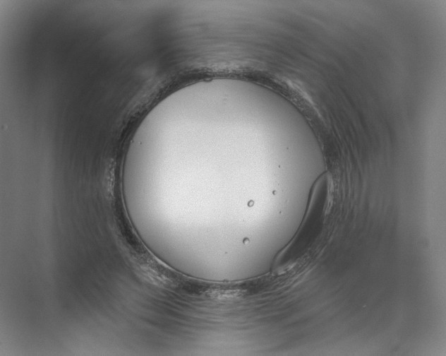 X0000073950495200609111654