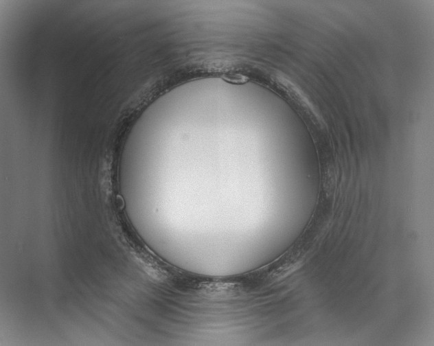 X0000073950497200609111654