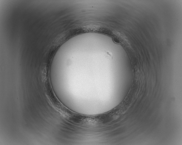 X0000073950498200609111654