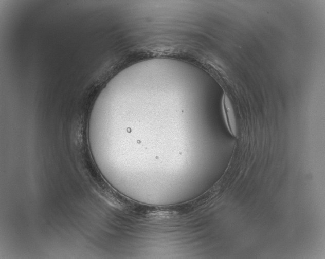 X0000073950499200609111654