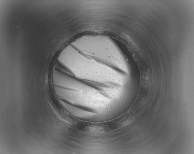 X0000073950500200609111654