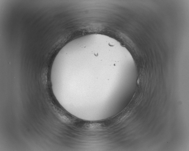 X0000073950501200609111654