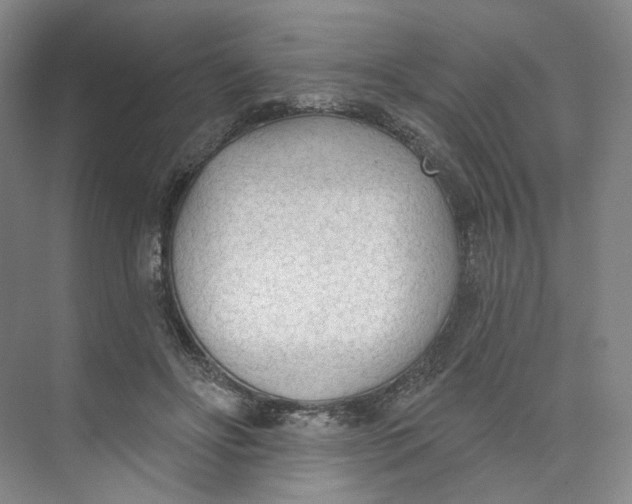 X0000073950502200609111654