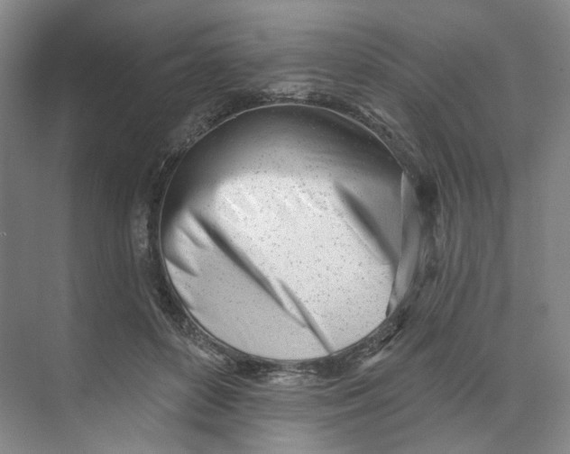 X0000073950504200609111654