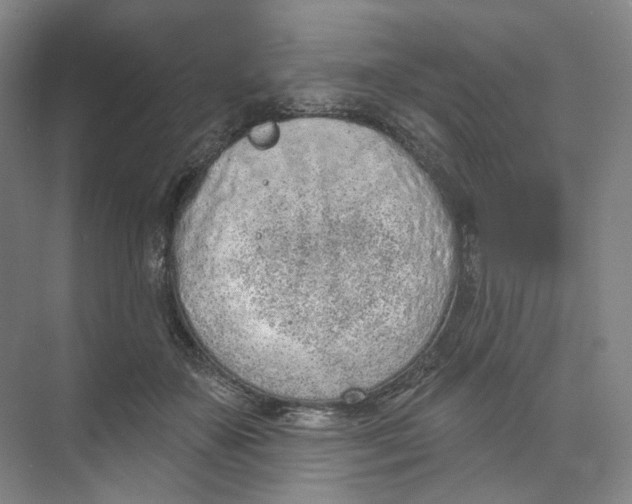 X0000073950507200609111654