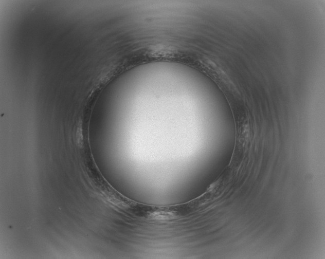 X0000073950508200609111654