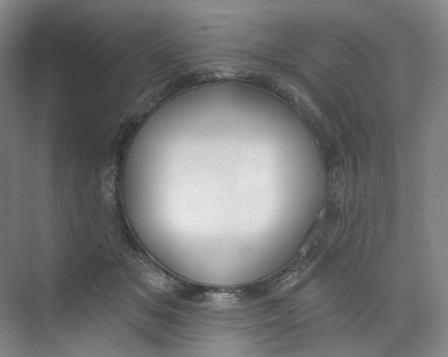 X0000073950509200609111653