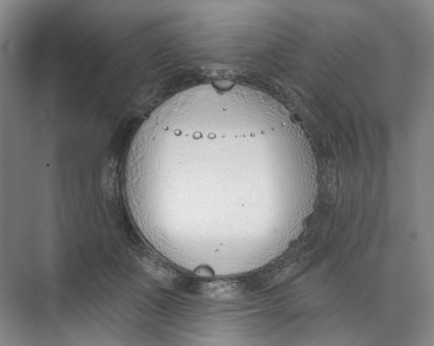 X0000073950511200609111653