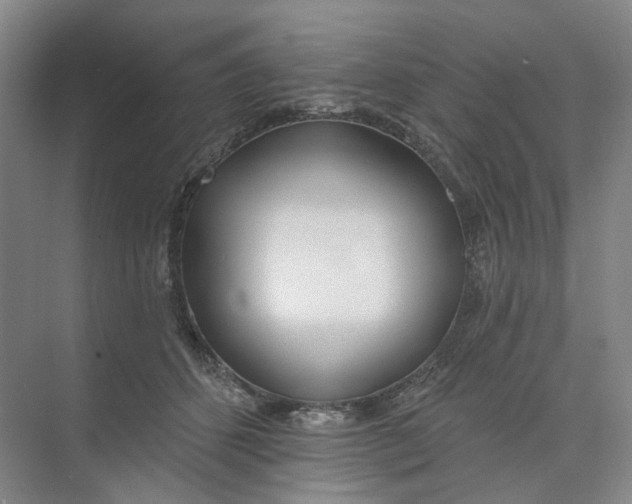 X0000073950512200609111653