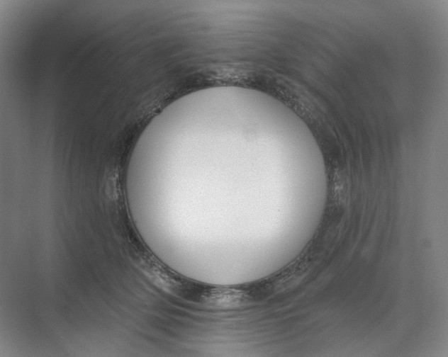 X0000073950514200609111653