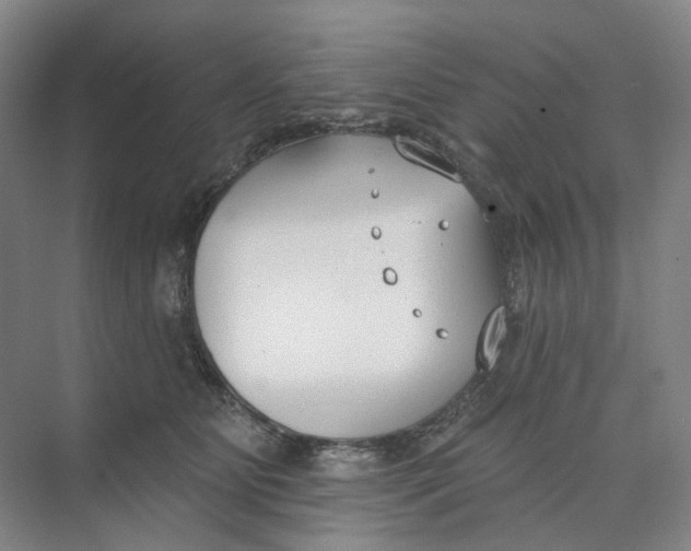 X0000073950515200609111653