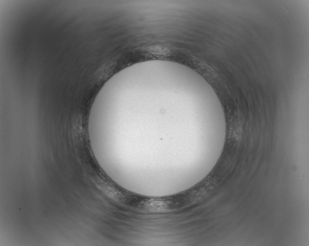 X0000073950518200609111653