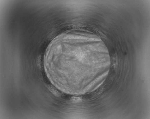 X0000073950519200609111653