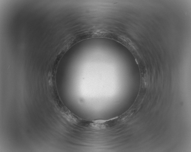 X0000073950520200609111653