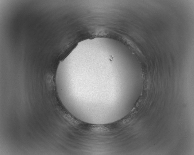 X0000073950521200609111653