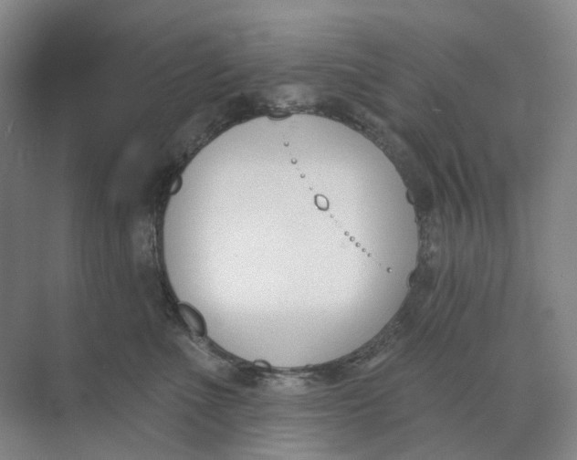 X0000073950523200609111653