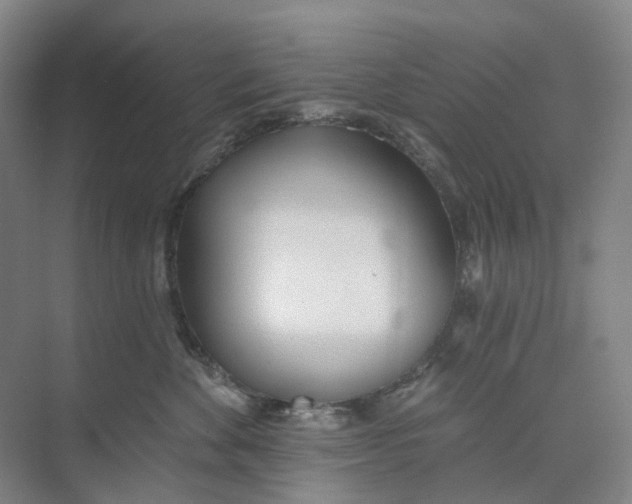 X0000073950524200609111653