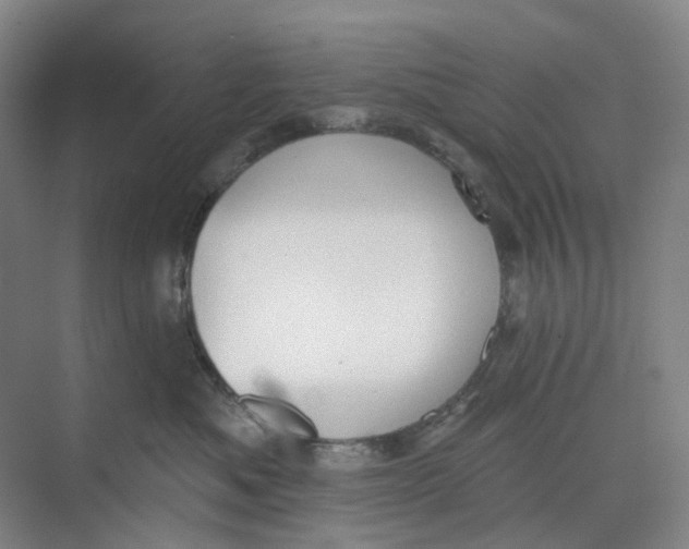 X0000073950525200609111653