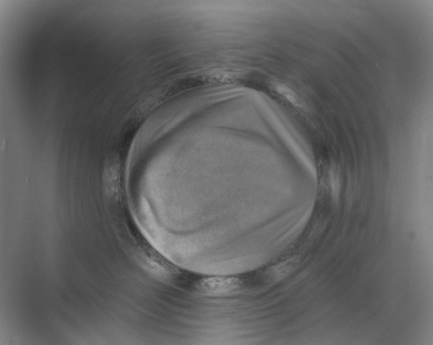 X0000073950526200609111653