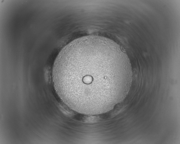 X0000073950527200609111653