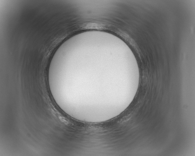 X0000073950529200609111652