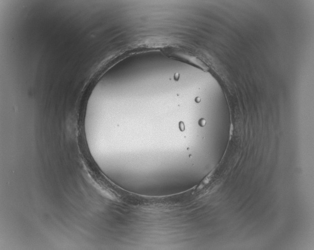 X0000073950530200609111652