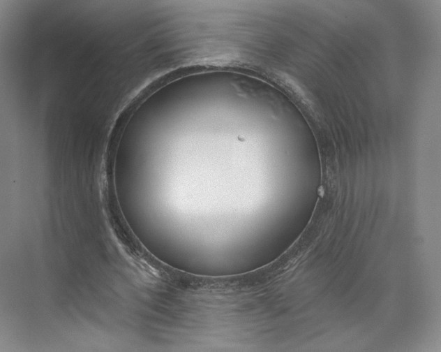 X0000073950532200609111652