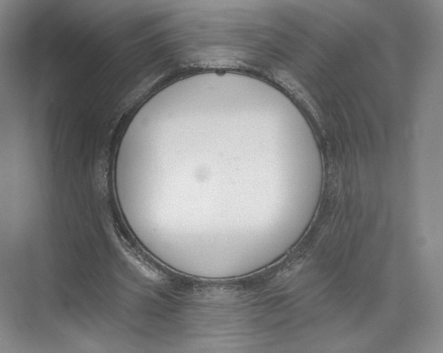 X0000073950533200609111652