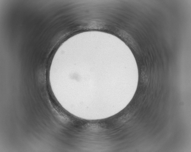 X0000073950534200609111652