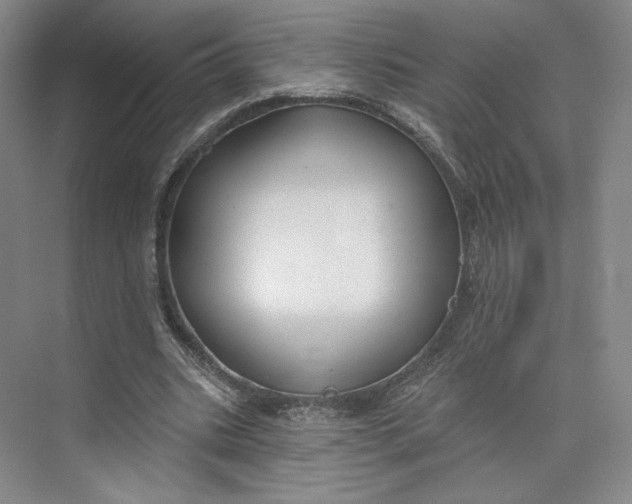 X0000073950535200609111652