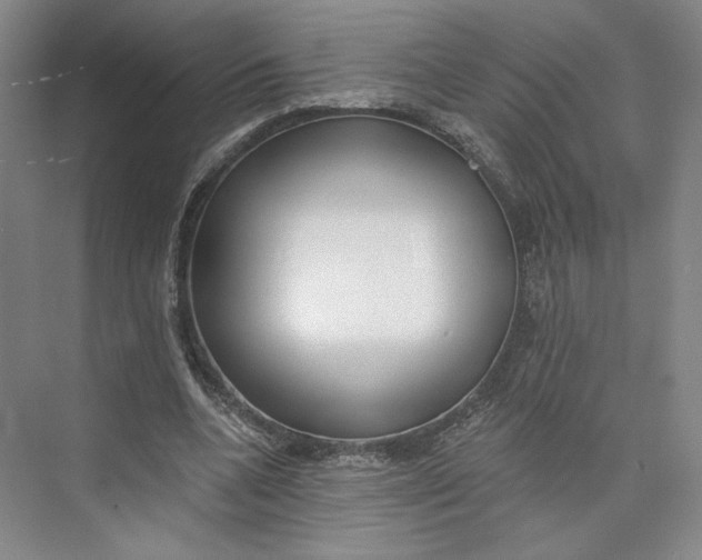 X0000073950536200609111652