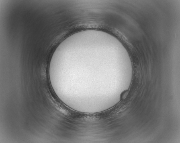 X0000073950537200609111652