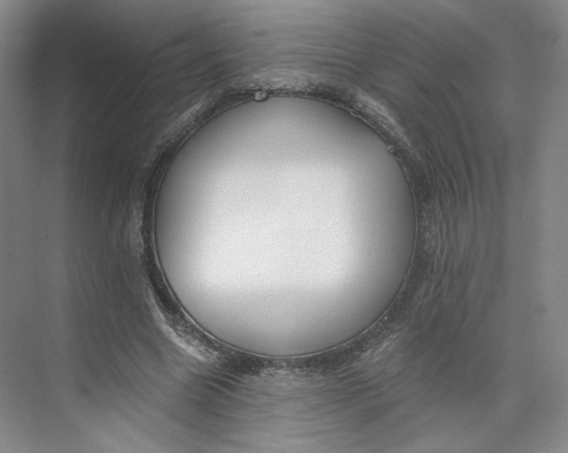 X0000073950538200609111653