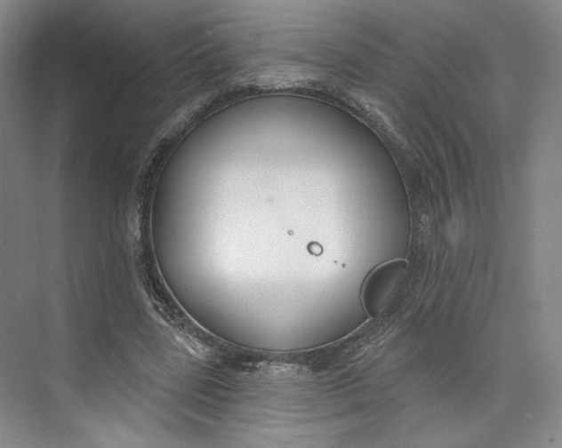 X0000073950539200609111653