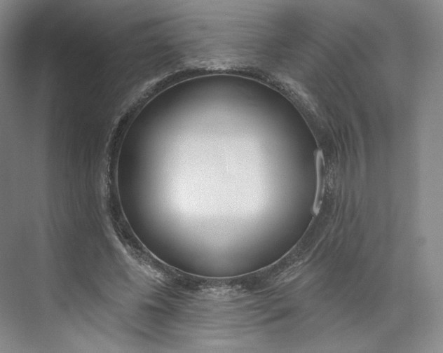 X0000073950540200609111653