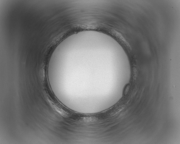 X0000073950541200609111653