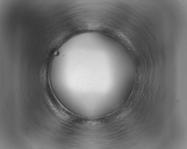 X0000073950542200609111653