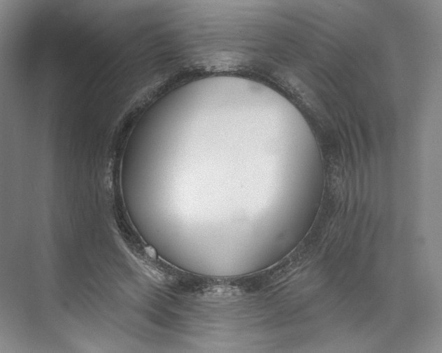 X0000073950543200609111653