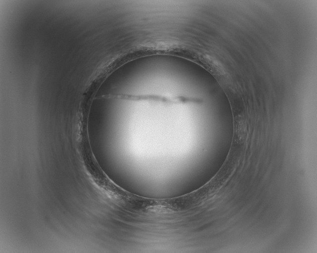 X0000073950544200609111653