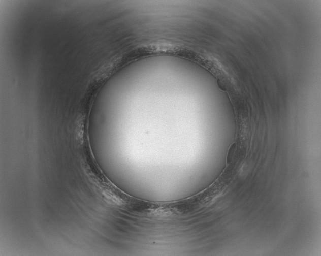 X0000073950545200609111653