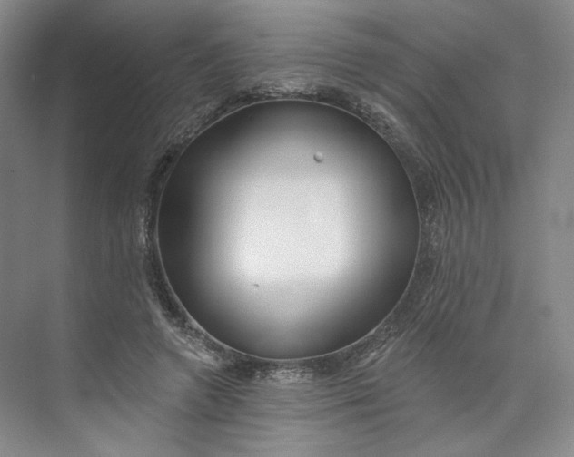 X0000073950546200609111653