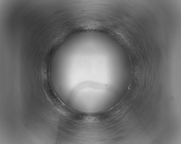 X0000073950547200609111653