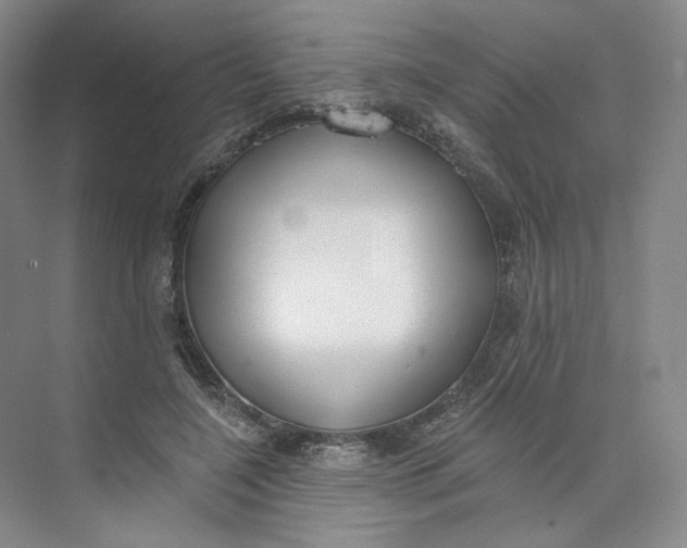 X0000073950548200609111653