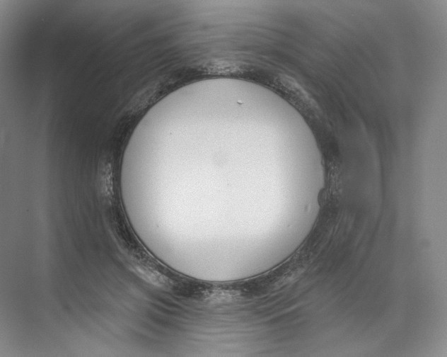 X0000073950549200609111653