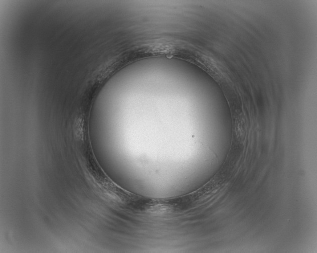 X0000073950551200609111653