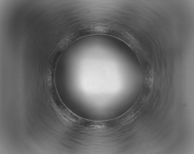 X0000073950552200609111653