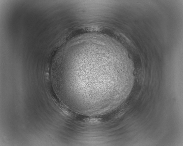 X0000073950553200609111653