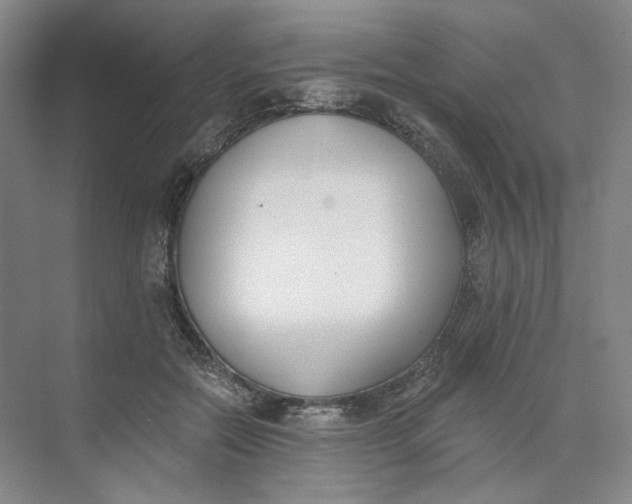 X0000073950554200609111653